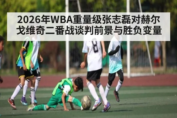 2026年WBA重量级张志磊对赫尔戈维奇二番战谈判前景与胜负变量（kaiyun）